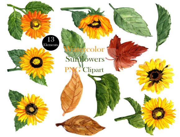 Download Elegant Watercolor Sunflower Clipart Set - Flower clipart Collection