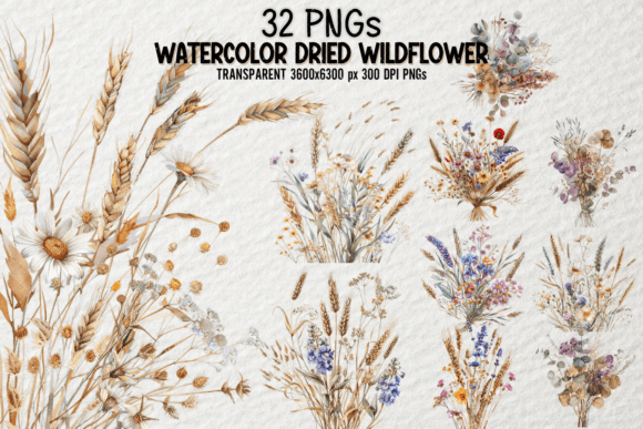 Download Watercolor Dried Wildflower Bundle PNG - Wildflower bundle Collection