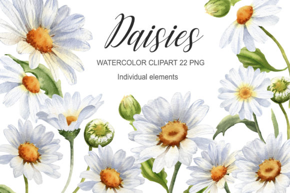 Download Watercolor Daisy Flower Clipart - Flower clipart Collection