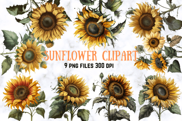 Download Sunflower Clipart Set - Flower clipart Collection