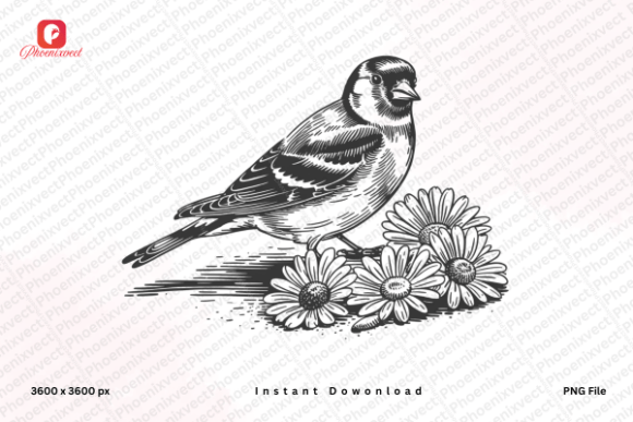 Download Floral Bird Hand Drawn Sparrow Bird PNG - Hand drawn Collection