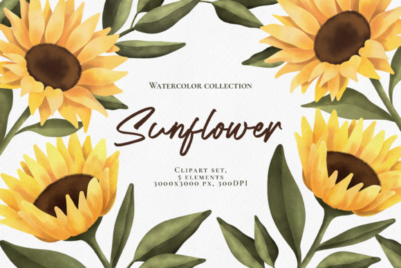 Download Watercolor Sunflower Clipart Set. PNG - Flower clipart Collection