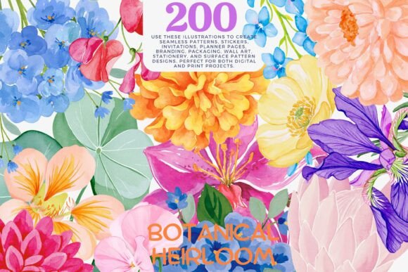 Download Watercolor Flower Clipart Bundle - Flower clipart Collection