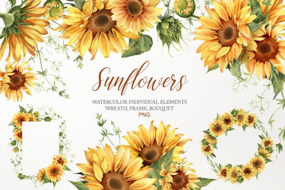Download Watercolor Sunflower Clipart Bouquet PNG - Flower clipart Collection