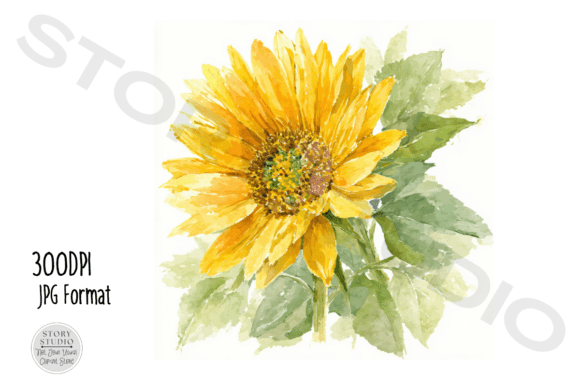 Download Watercolor Sunflower Clipart Set - Flower clipart Collection