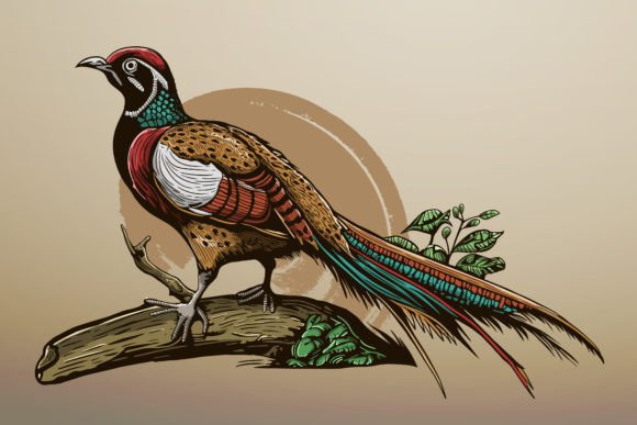 Download Hand Drawn Exotic Bird on Tree Branch - Hand drawn Collection